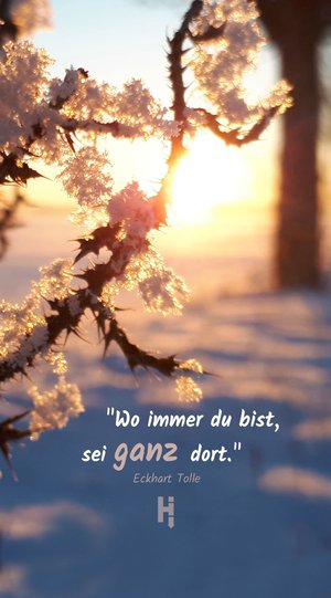 Zweig mit Eis und Schnee vor Sonnenaufgang und Spruch Achtsamkeit