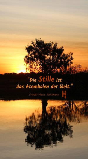 Sonnenuntergang mit Baum vor See und Spruch zur Achtsamkeit